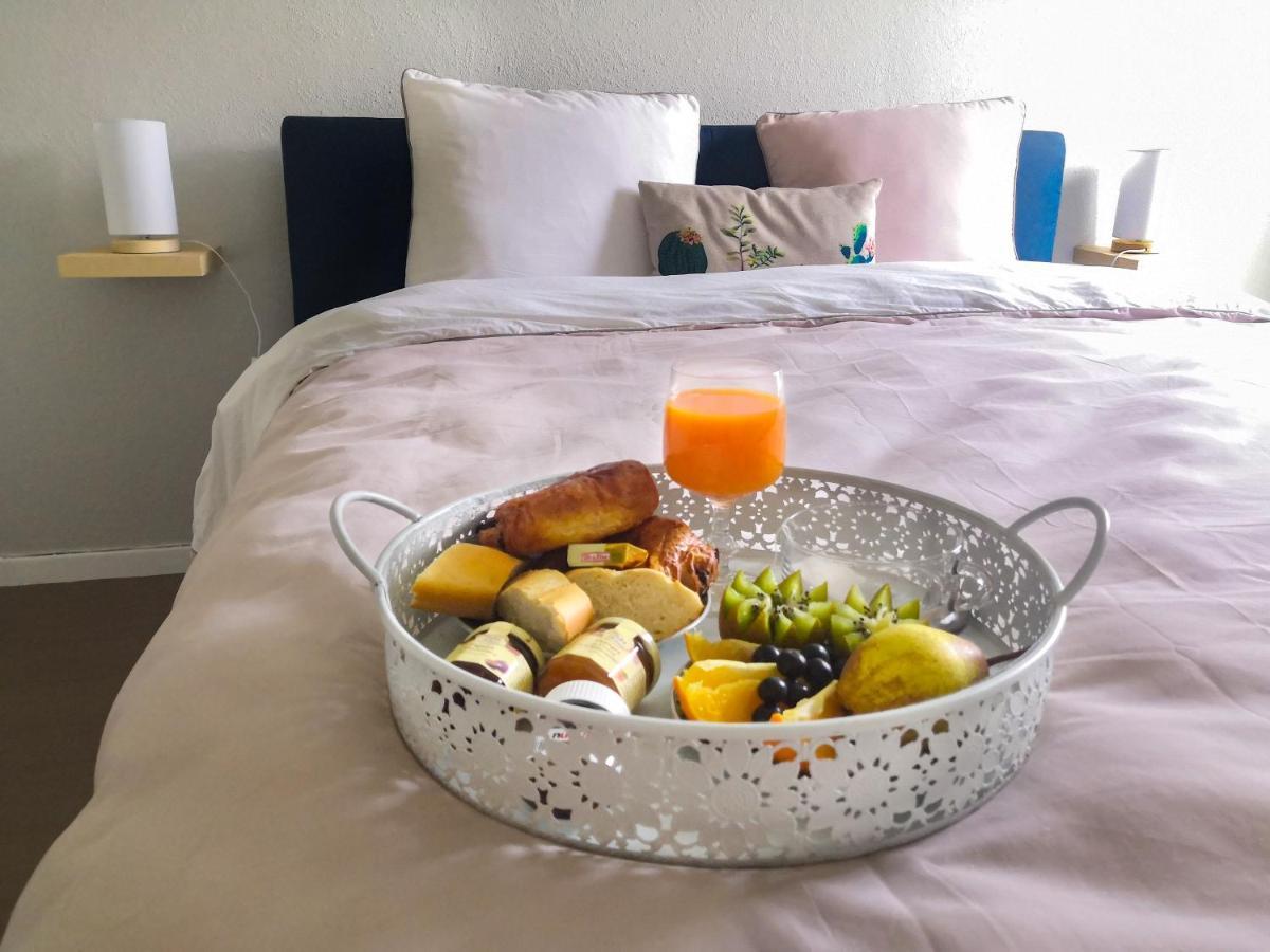 Appartement Toulouse Blagnac Aeroport Iut Parking Proche De Toutes Commodites Belle Terrasse Netflix المظهر الخارجي الصورة